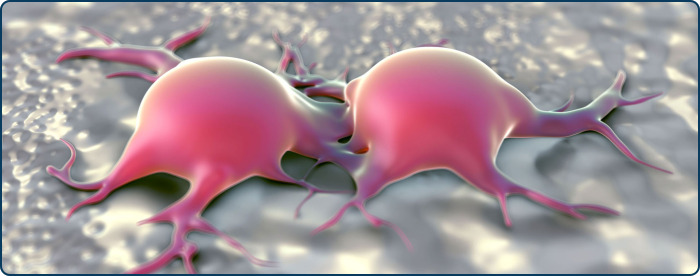 procedura medica sistema lipogems